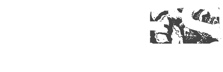 IMG-LOGO